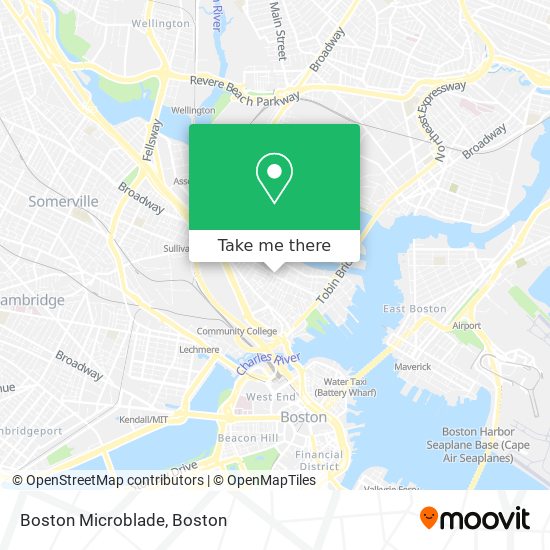 Mapa de Boston Microblade