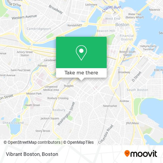 Vibrant Boston map