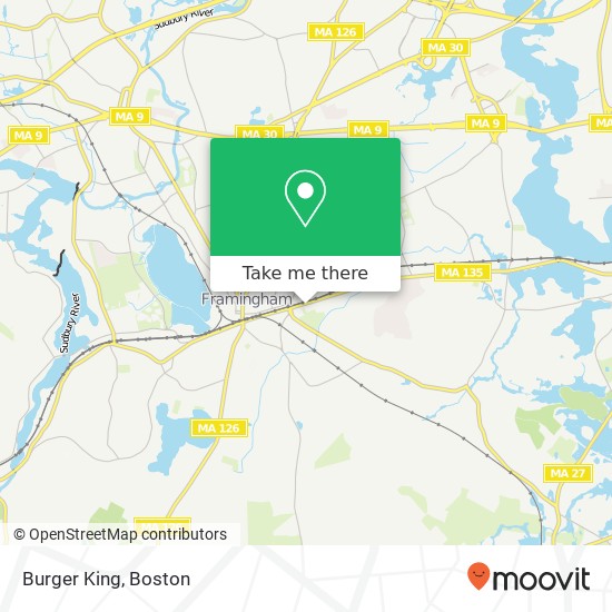 Burger King map