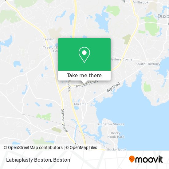 Labiaplasty Boston map