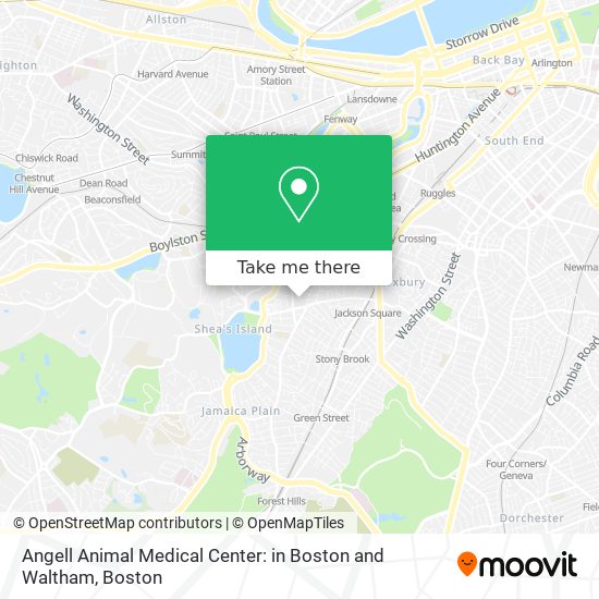 Mapa de Angell Animal Medical Center: in Boston and Waltham