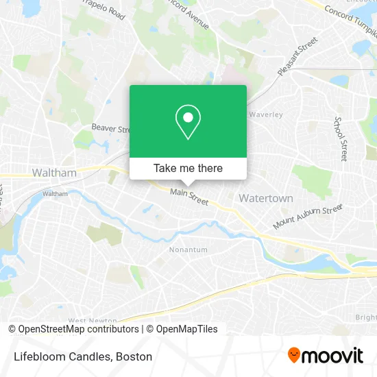 Lifebloom Candles map