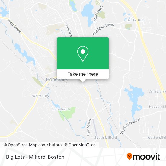 Big Lots - Milford map