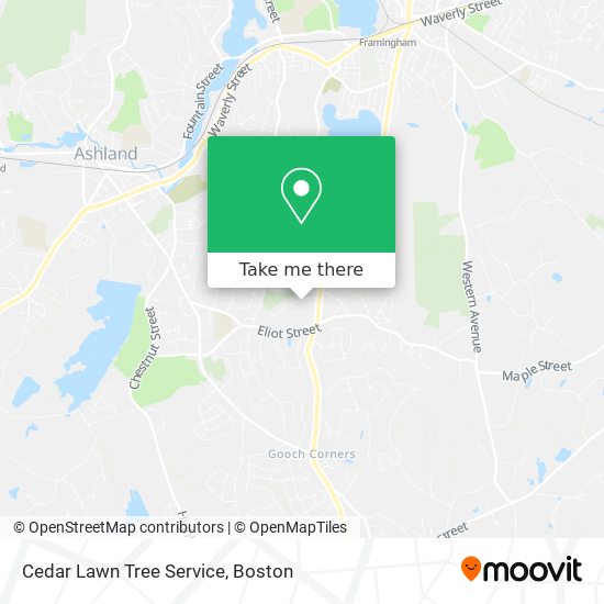 Cedar Lawn Tree Service map