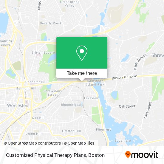 Mapa de Customized Physical Therapy Plans