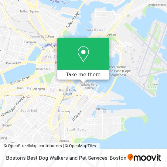 Mapa de Boston's Best Dog Walkers and Pet Services