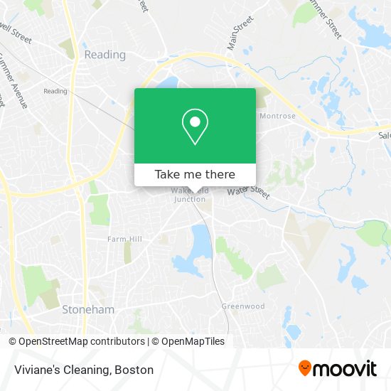 Viviane's Cleaning map