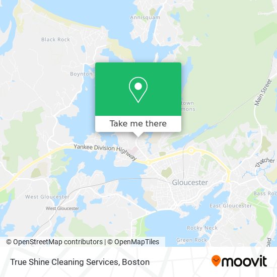 True Shine Cleaning Services map