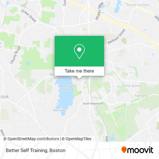 Better Self Training map