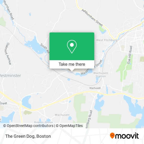 Mapa de The Green Dog