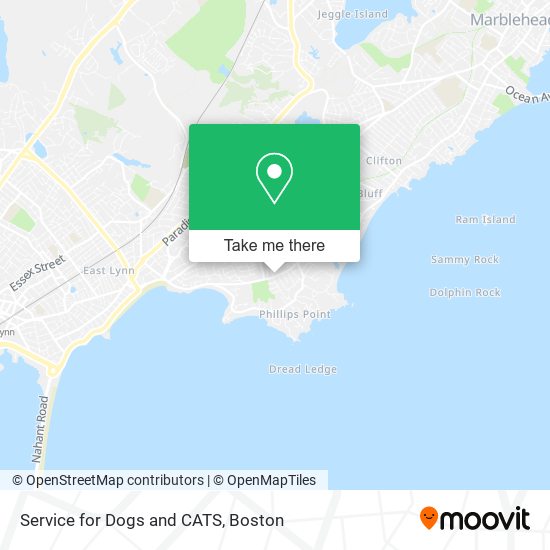 Service for Dogs and CATS map