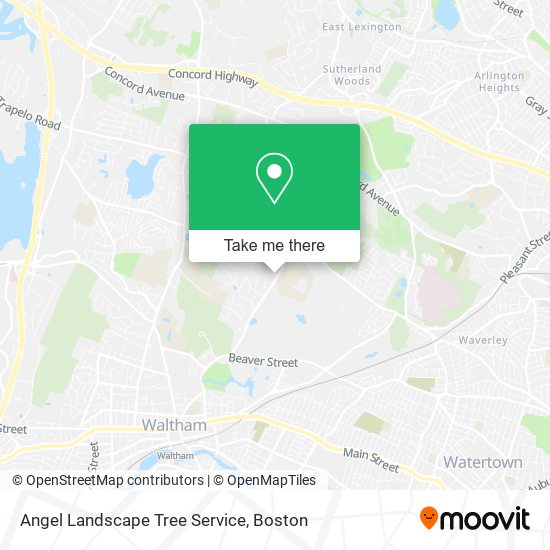 Angel Landscape Tree Service map