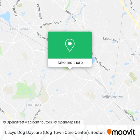Lucys Dog Daycare (Dog Town Care Center) map