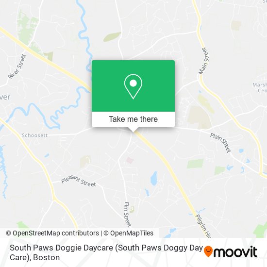 South Paws Doggie Daycare (South Paws Doggy Day Care) map