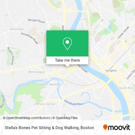 Stella's Bones Pet Sitting & Dog Walking map