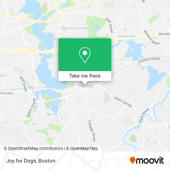 Joy for Dogs map