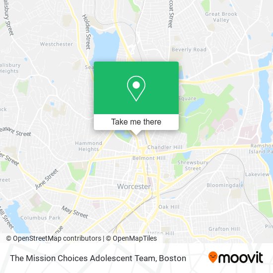 The Mission Choices Adolescent Team map