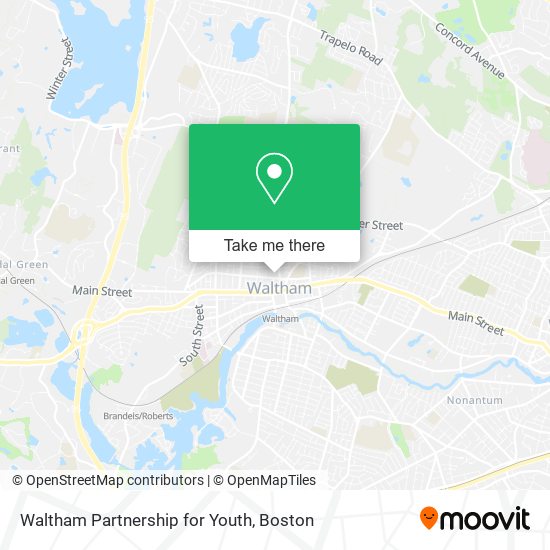 Waltham Partnership for Youth map