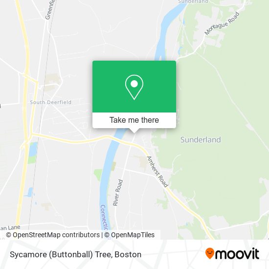 Mapa de Sycamore (Buttonball) Tree