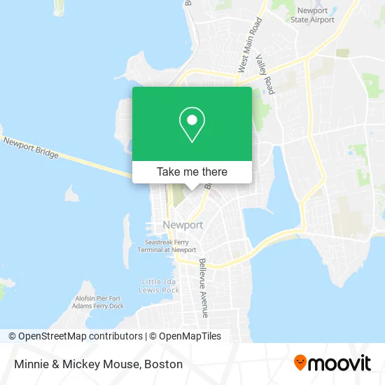 Minnie & Mickey Mouse map