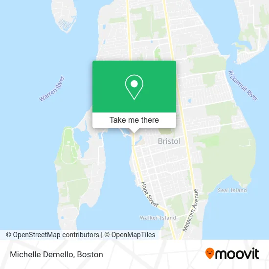 Michelle Demello map