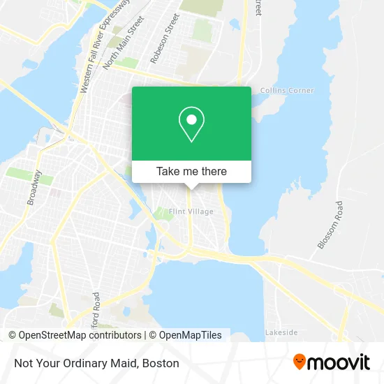 Not Your Ordinary Maid map