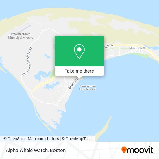 Alpha Whale Watch map