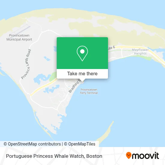 Portuguese Princess Whale Watch map