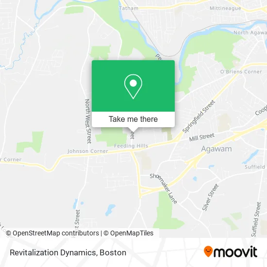 Revitalization Dynamics map