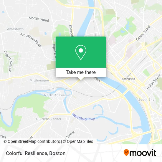 Colorful Resilience map