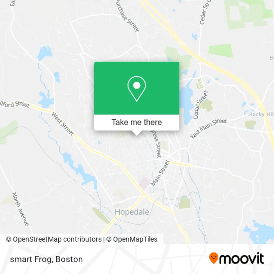 smart Frog map
