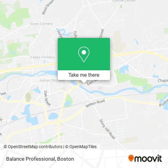 Balance Professional map
