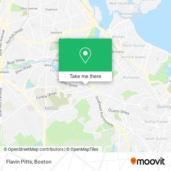 Flavin Pitts map