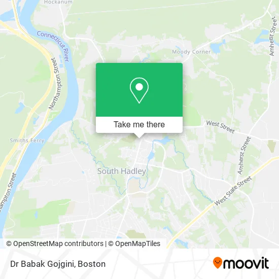 Mapa de Dr Babak Gojgini