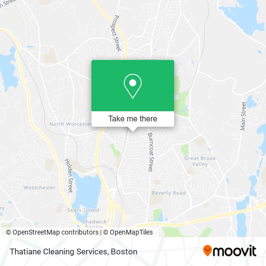 Thatiane Cleaning Services map