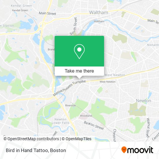 Bird in Hand Tattoo map