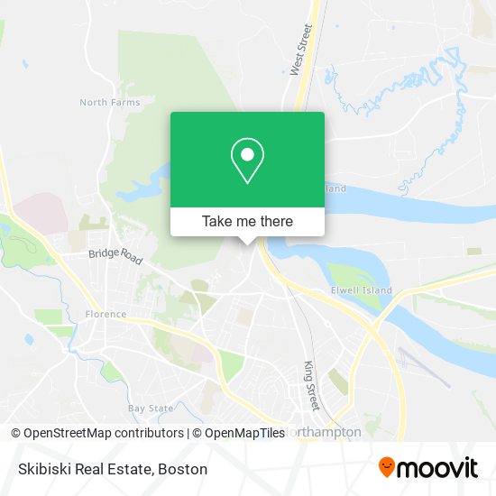 Skibiski Real Estate map