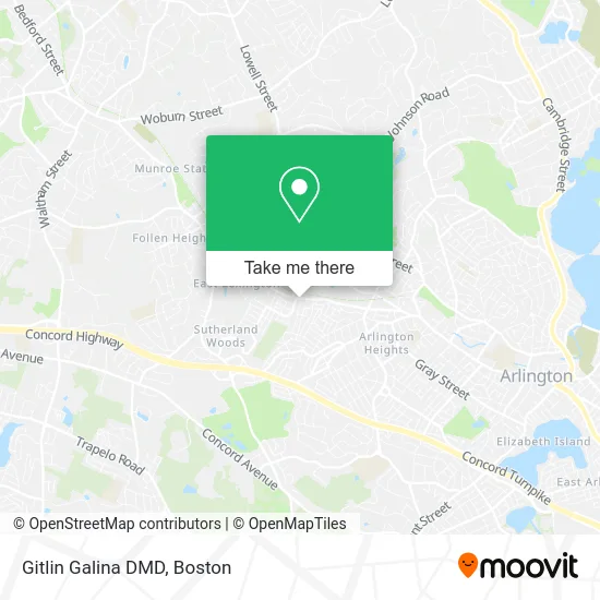 Gitlin Galina DMD map