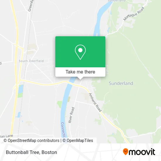 Mapa de Buttonball Tree