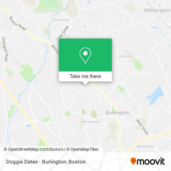 Doggie Dates - Burlington map