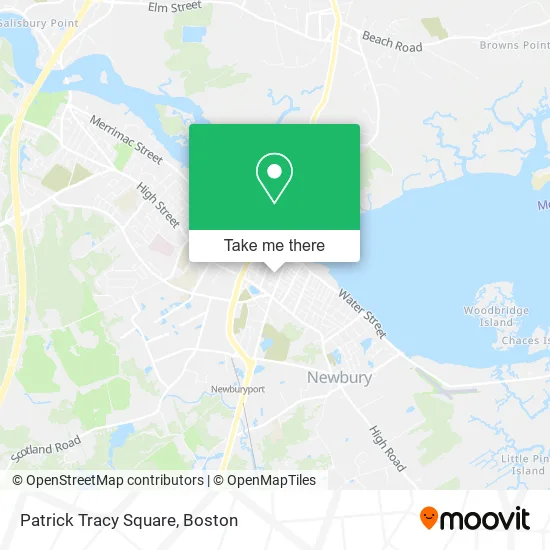 Patrick Tracy Square map