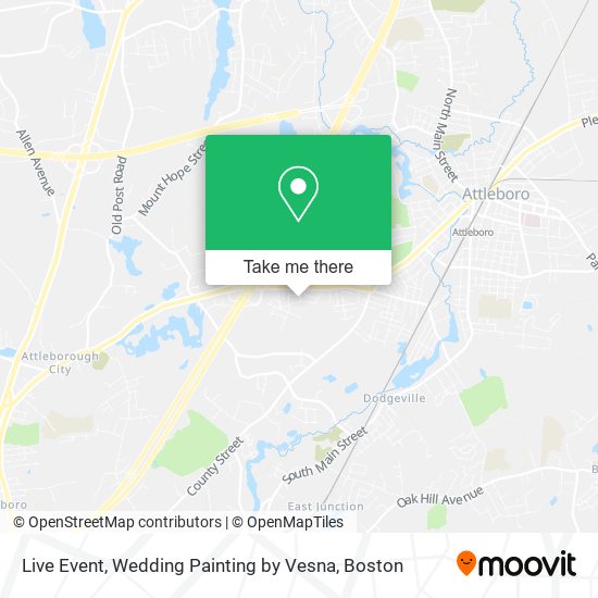 Live Event, Wedding Painting by Vesna map