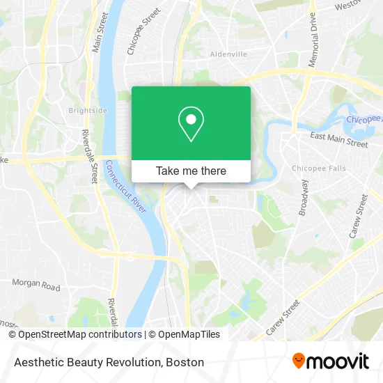 Aesthetic Beauty Revolution map