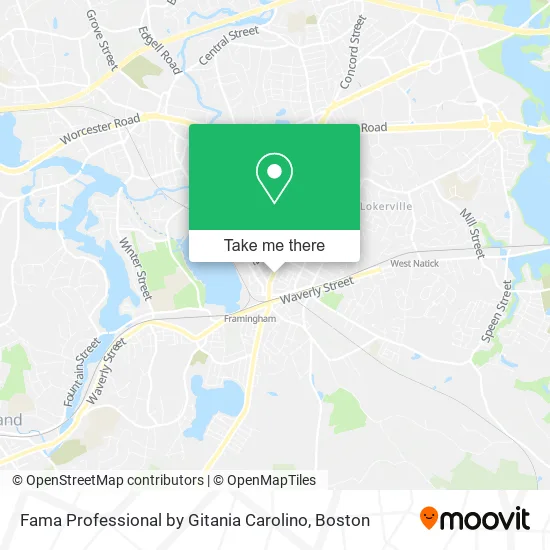 Mapa de Fama Professional by Gitania Carolino