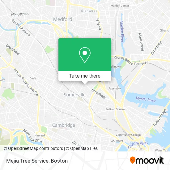 Mejia Tree Service map