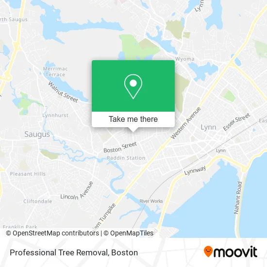 Professional Tree Removal map