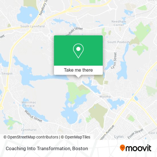 Mapa de Coaching Into Transformation
