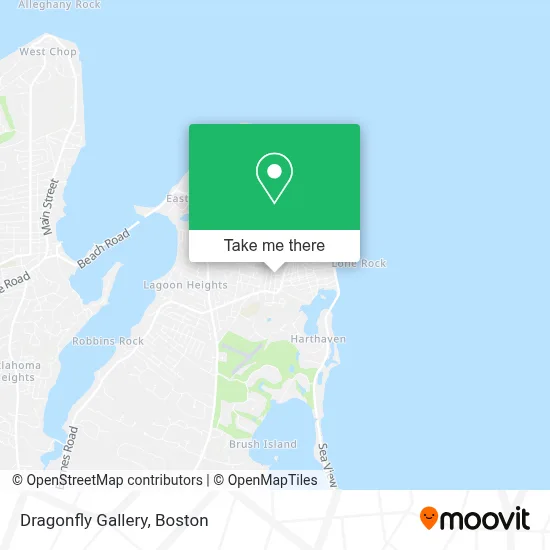 Dragonfly Gallery map