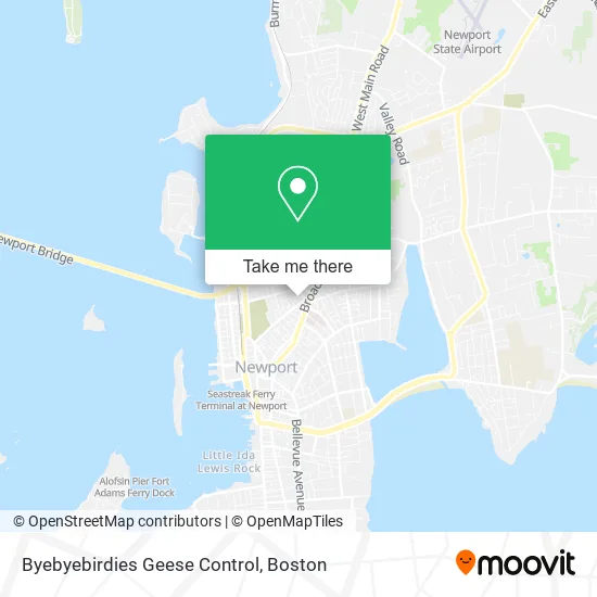 Mapa de Byebyebirdies Geese Control