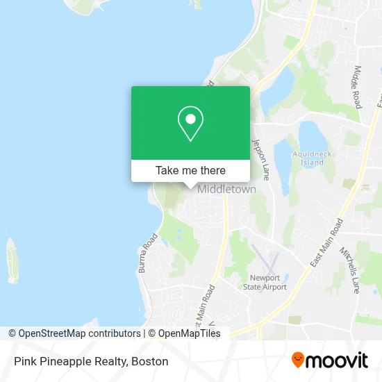 Pink Pineapple Realty map